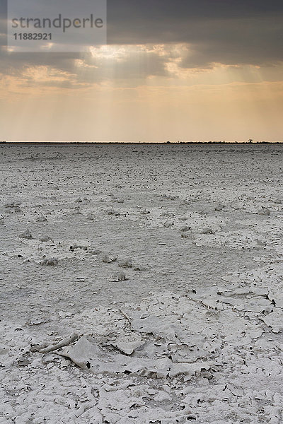 Ein Sturm nähert sich der Salzpfanne  Nxai Pan  Botswana   Afrika