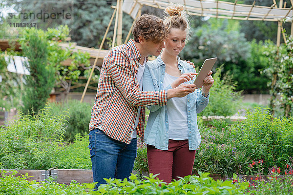 Junger Mann und Frau im Stadtgarten  fotografieren Pflanzen mit einem digitalen Tablett