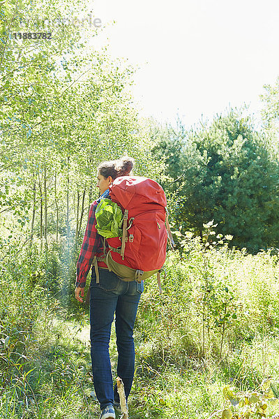 Frau beim Wandern  Rückansicht  Colgate Lake Wild Forest  Catskill Park  Bundesstaat New York  USA