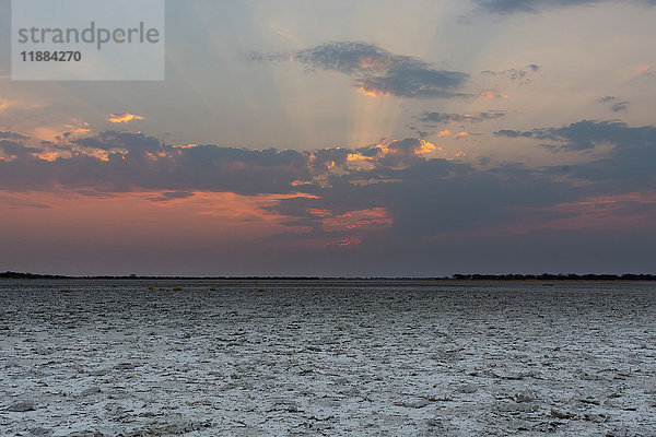 Die Salzpfanne bei Sonnenuntergang  Nxai Pan  Botswana  Afrika