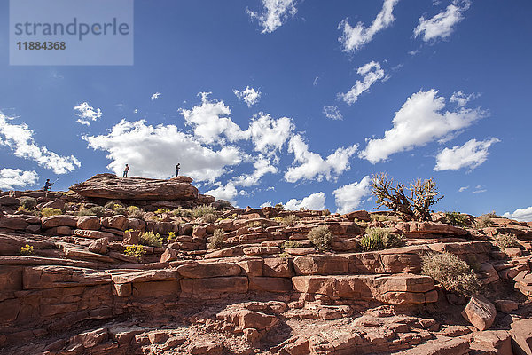 Am Eagle Point im West Grand Canyon erklimmen Touristen die steilen Bergketten  um von der Spitze dieses Aussichtswanderweges aus großartige Aussichten und Fotomöglichkeiten zu haben; Arizona  Vereinigte Staaten von Amerika'.