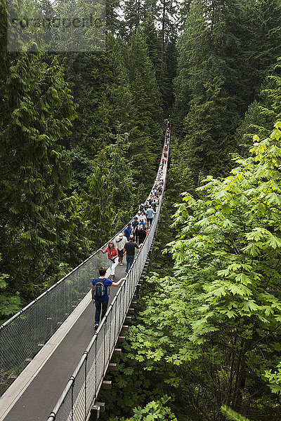 Touristen  die über die Hängebrücke gehen  Capilano Suspension Bridge Park; Vancouver  British Columbia  Kanada'.