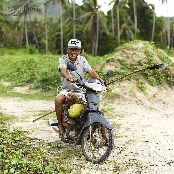 Ein thailändischer Mann trägt Kokosnüsse auf seinem Motorrad; Ko Samui  Chang Wat Surat Thani  Thailand'.