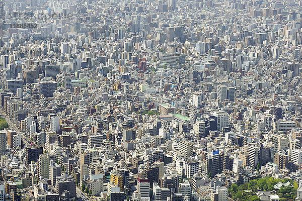Luftaufnahme des überfüllten Stadtbildes an sonnigen Tagen  Tokio  Japan