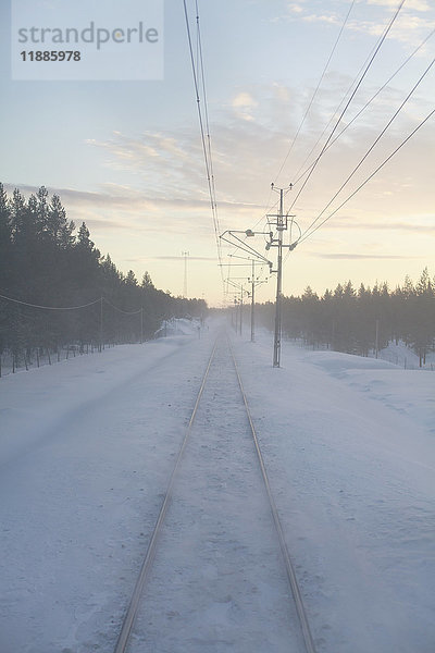 Schneebedeckte Eisenbahnstrecke mit Strommasten inmitten von Bäumen bei Sonnenuntergang  Kiruna  Schweden