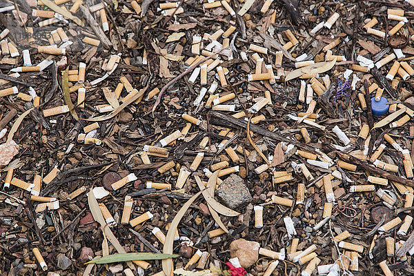 Hochwinkelansicht der Zigarettenkippen am Boden
