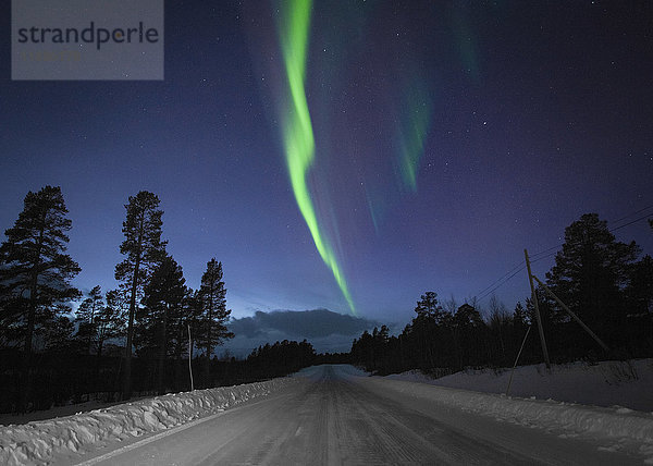 Blick auf Aurora Borealis über die schneebedeckte Straße inmitten von Silhouettenbäumen bei Nacht