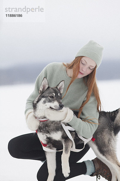 Schöne junge Frau streichelt Siberian Husky auf schneebedecktem Feld