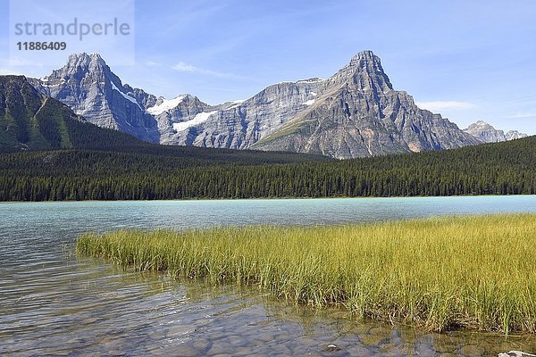 Howse Peak und Mount Chephren vom Waterfowl Lake aus  Banff Nationalpark  Alberta  Rocky Mountains  Kanada  Nordamerika