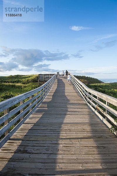 Holzsteg  der zum Strand des Prince Edward Island National Park führt  Prince Edward Island  Kanada  Nordamerika