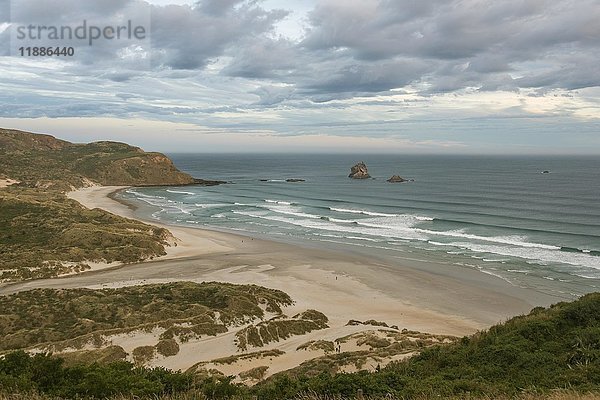 Strand mit Sanddünen  Sandfly Bay  Dunedin  Otago  Otago-Halbinsel  Südinsel  Neuseeland  Ozeanien