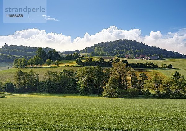 Dorf Plesten bei Neustadt bei Coburg  Landkreis Coburg  Oberfranken  Franken  Bayern  Deutschland  Europa