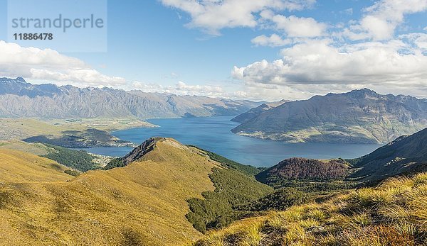 Blick auf den Lake Wakatipu und die Bergkette The Remarkables  Wald und Berge  Ben Lomond  Südliche Alpen  Otago  Südinsel  Neuseeland  Ozeanien