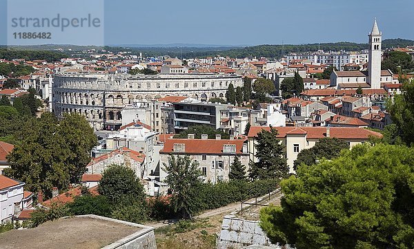 Blick auf die Stadt und das römische Amphitheater  Pula  Istrien  Kroatien  Europa