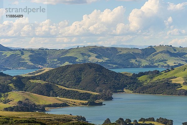 Hoopers Inlet  Bucht in grüner Hügellandschaft  Dunedin  Otago Halbinsel  Südinsel  Neuseeland  Ozeanien