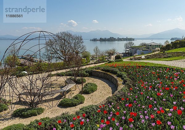 Park mit Blumenbeeten  Gstadt am Chiemsee  Oberbayern  Bayern  Deutschland  Europa