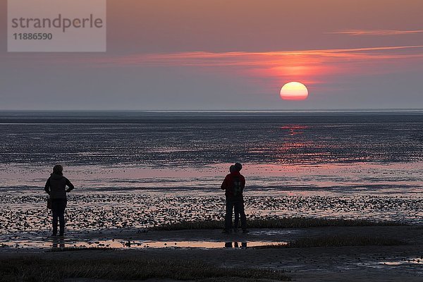 Menschen bei Sonnenuntergang  Wattenmeer  Nationalpark Niedersächsisches Wattenmeer  Cuxhaven  Nordsee  Niedersachsen  Deutschland  Europa