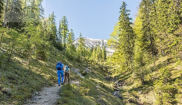 Wanderweg entlang des Bachbettes zur Seekarspitze  Tirol  Österreich  Europa