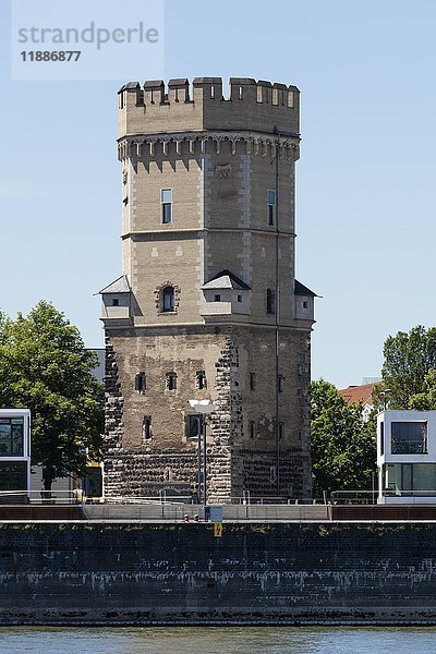 Turm Bayenturm  mittelalterlicher Bergfried am Rhein  Rheinauhafen  Rhein  Köln  Nordrhein-Westfalen  Deutschland  Europa