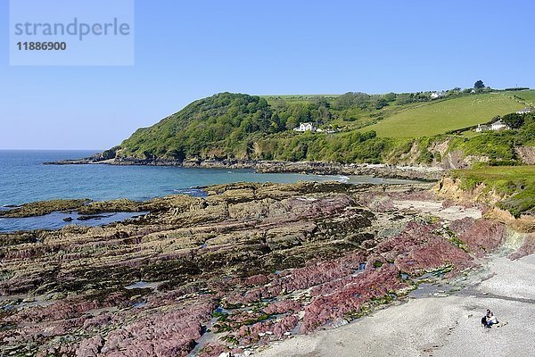 Talland Bay bei Polperro  Cornwall  England  Vereinigtes Königreich  Europa