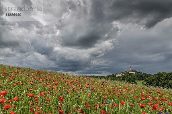 Gewitter über Kloster Andechs mit Mohnfeld und Kornblumen  Wallfahrtskirche  Landkreis Starnberg  Oberbayern  Bayern  Deutschland  Europa