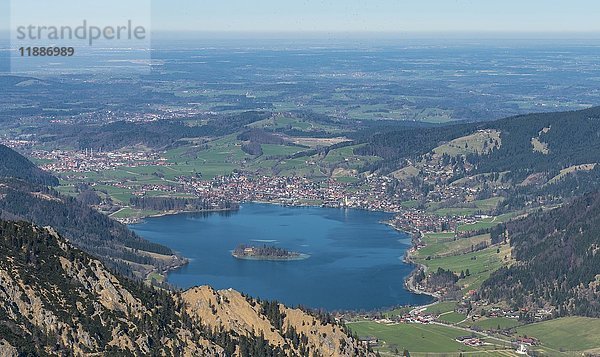 Blick auf den Schliersee von der Brecherspitz im Frühling  Schliersee  Voralpenland  Oberbayern  Bayern  Deutschland  Europa