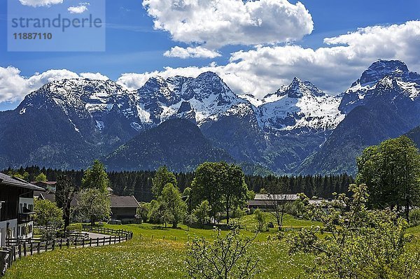 Blick auf die Loferer Steinberge im Frühling  Au bei Lofer  Bundesland Salzburg  Österreich  Europa
