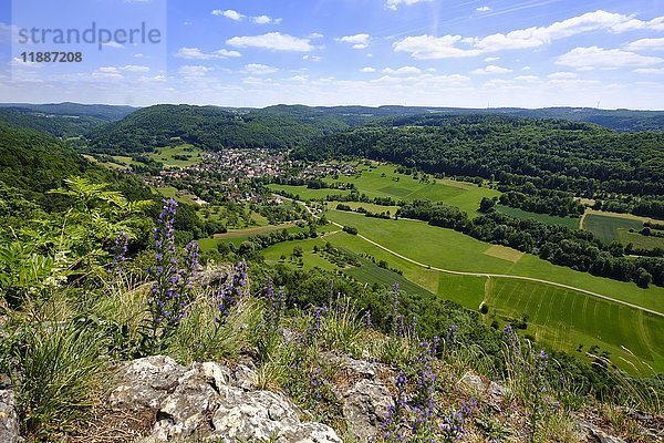 Förrenbach bei Happurg  Blick von der Houbirg  Hersbrucker Alb  Mittelfranken  Franken  Bayern  Deutschland  Europa