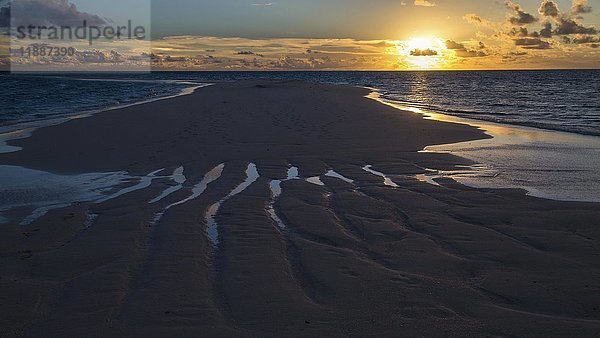 Sandbank bei Sonnenuntergang  Insel Gangehi  Ari-Atoll  Indischer Ozean  Malediven  Asien