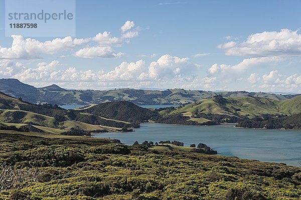 Hoopers Inlet  Bucht in grüner Hügellandschaft  Dunedin  Otago Halbinsel  Südinsel  Neuseeland  Ozeanien