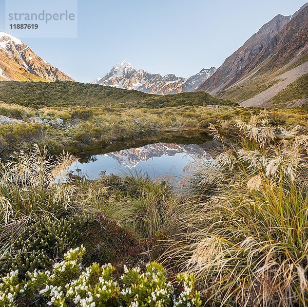 Spiegelung in kleinem See  Mount Cook  Morgenstimmung  Mount Cook National Park  Südliche Alpen  Hooker Valley  Canterbury  Südinsel  Neuseeland  Ozeanien