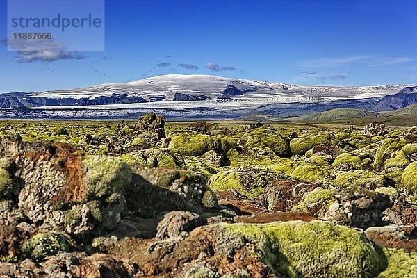 Moosbewachsenes Lavafeld Laufskálavarða  am hinteren Vulkan Katla  Kirkjubæjarklaustur  Suðurland  Insel