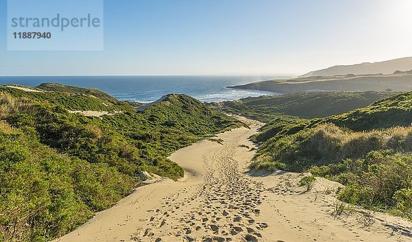 Küstenlandschaft mit Sanddünen  Sandfly Bay  Otago  Südinsel  Neuseeland  Ozeanien