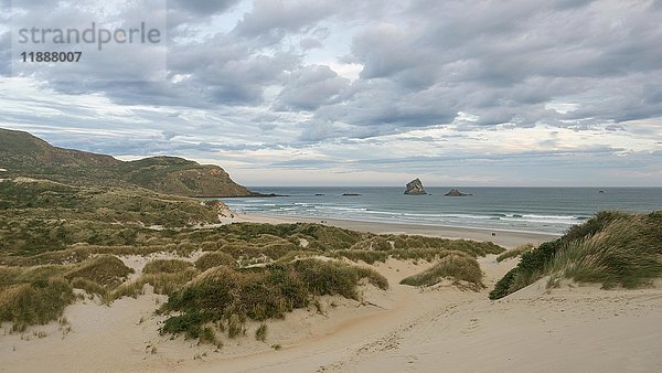 Strand mit Sanddünen  Sandfly Bay  Dunedin  Otago  Otago-Halbinsel  Südinsel  Neuseeland  Ozeanien