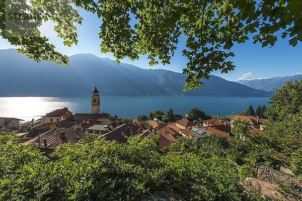 Blick auf Tronzano Lago Maggiore  Varese  Lombardei  Italien  Europa