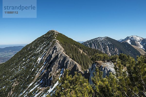 Grat und Gipfel der Brecherspitz mit Schneeresten im Frühling  Schlierseer Alpen  Oberbayern  Bayern  Deutschland  Europa