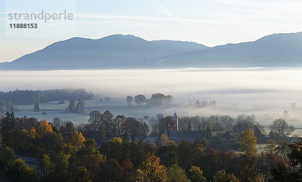 Herbststimmung  Morgennebel über Loisachtal  Dorf Zell bei Großweil  Oberbayern  Bayern  Deutschland  Europa