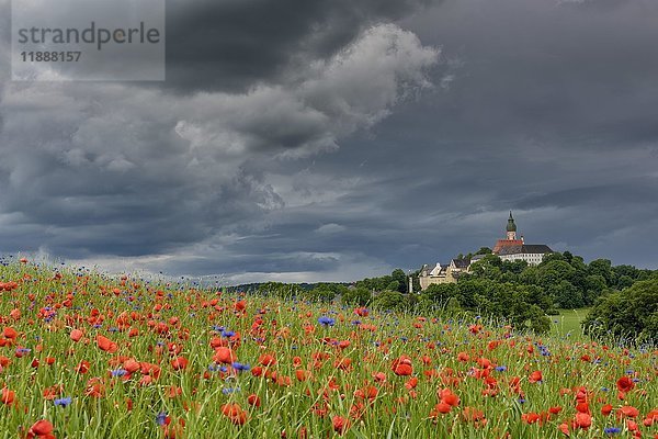 Gewitter über Kloster Andechs mit Mohnfeld und Kornblumen  Wallfahrtskirche  Landkreis Starnberg  Oberbayern  Bayern  Deutschland  Europa