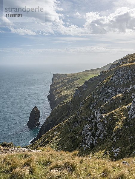 Klippen und karge Landschaft  Meer  Sandymount  Otago  Südinsel  Neuseeland  Ozeanien