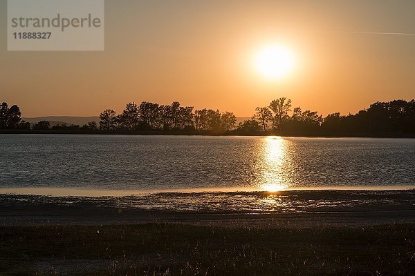 Sonnenuntergang Oberer Stinkersee  Nationalpark Neusiedlersee  Seewinkel  Burgenland  Österreich  Europa