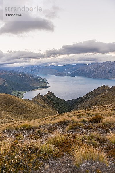 Lake Hawea und Berge  Blick vom Isthmus Peak Track  Otago  Südinsel  Neuseeland  Ozeanien