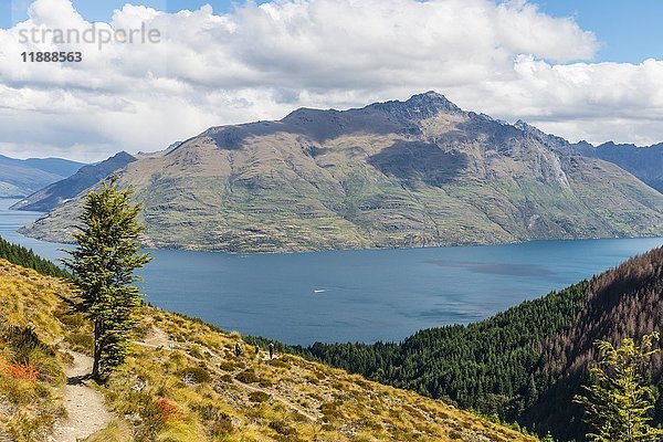 Blick auf den Lake Wakatipu  Wanderweg nach Ben Lomond  Otago  Südinsel  Neuseeland  Ozeanien