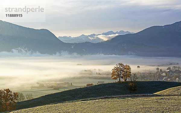 Morgenstimmung über dem Loisachmoor  Loisachtal bei Grossweil  Blaues Land  Oberbayern  Bayern  Deutschland  Europa