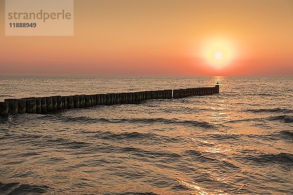 Meer mit Buhnen bei Sonnenuntergang  Ahrenshoop  Mecklenburg-Vorpommern  Deutschland  Europa