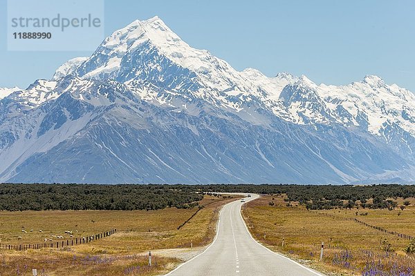 Straße mit Blick auf den Mount Cook  schneebedeckte Berge  Mount Cook National Park Südliche Alpen  Canterbury  Südinsel  Neuseeland  Ozeanien