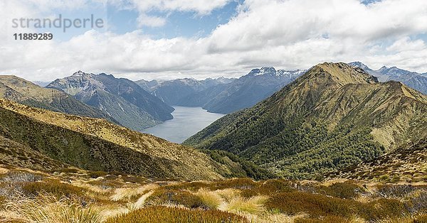 Südfjord des Lake Te Anau  Murchison Mountains  Südalpen im Hintergrund  Kepler Track  Fiordland National Park  Southland  Neuseeland  Ozeanien