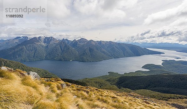 Südfjord des Lake Te Anau  Murchison Mountains  Südalpen im Hintergrund  Kepler Track  Fiordland National Park  Southland  Neuseeland  Ozeanien