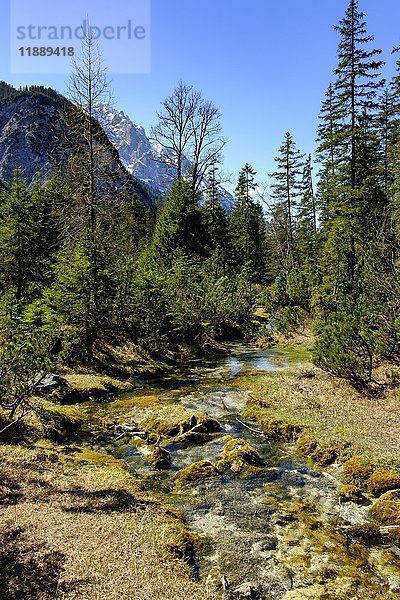 Quellgebiet der Isar  Isarquelle  Hinterautal  Karwendelgebirge  Tirol  Österreich  Europa