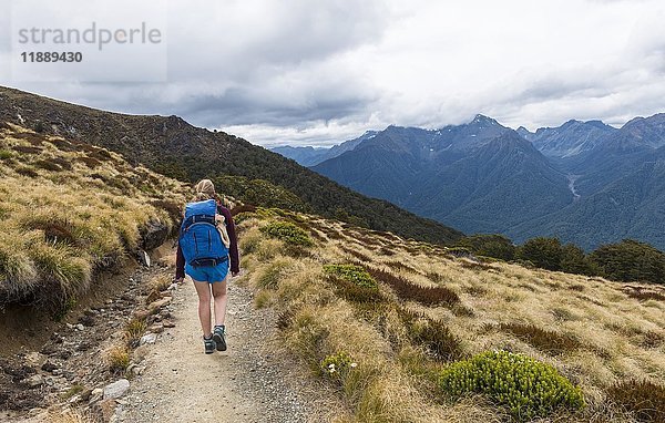 Wanderin auf dem Kepler Track  Fiordland National Park  Southland  Südinsel  Neuseeland  Ozeanien