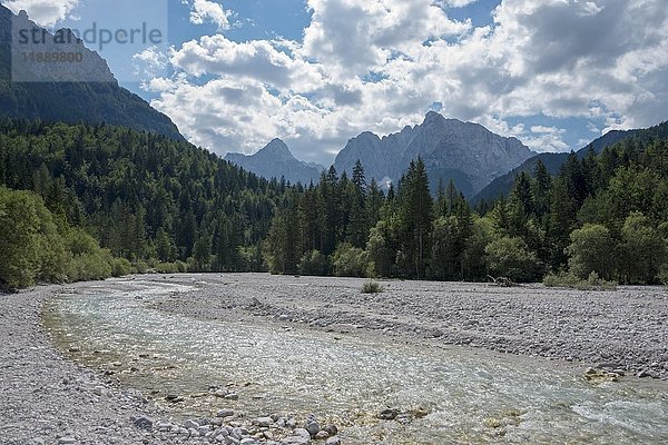 Bach Pisnica  Kranjska Gora  Kronau  Sava-Tal  Oberkrain  Slowenien  Europa